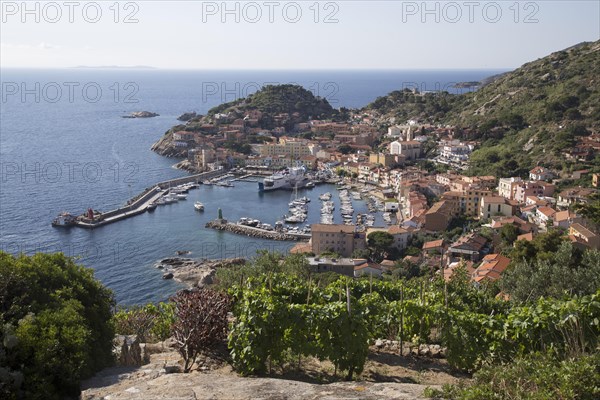 Giglio Porto harbour