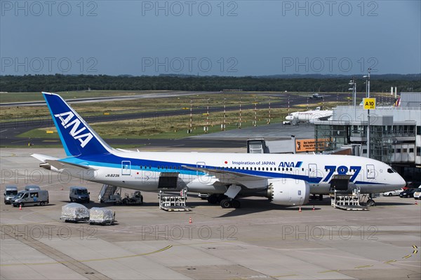 ANA Boing 787