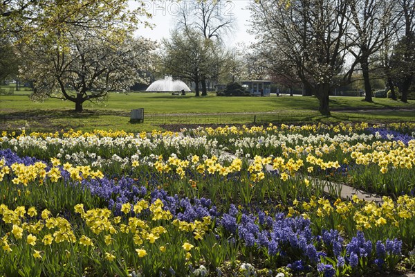 Flowerbeds in the egapark