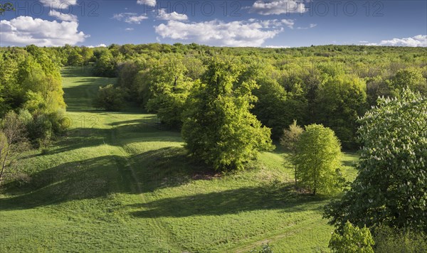 Landscape Park Ettersburg Palace in Weimar