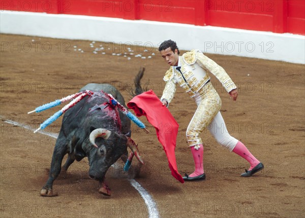 Bullfight