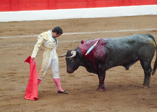 Bullfight