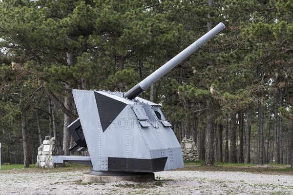 Cannon 100-47