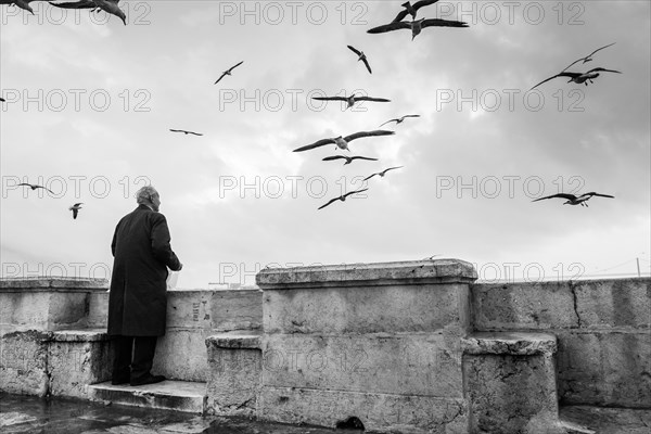 Man and gulls