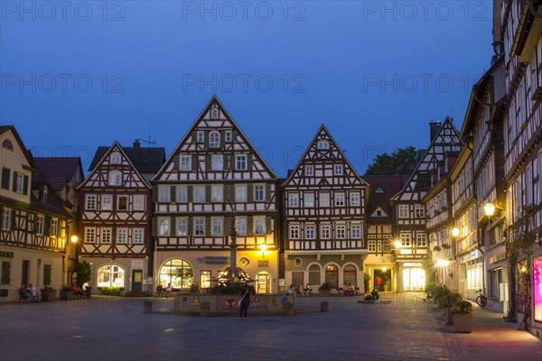 Timbered houses at upper marketplace