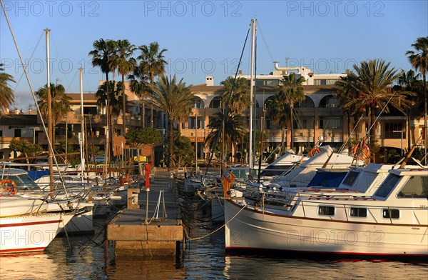 Boats in the harbour early in the morning