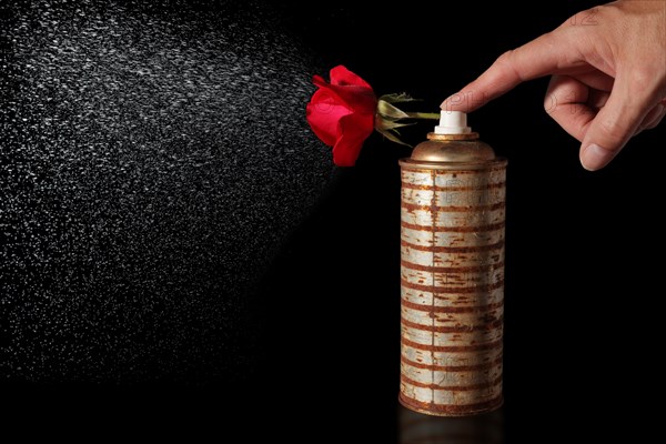 Spray can with rose scent