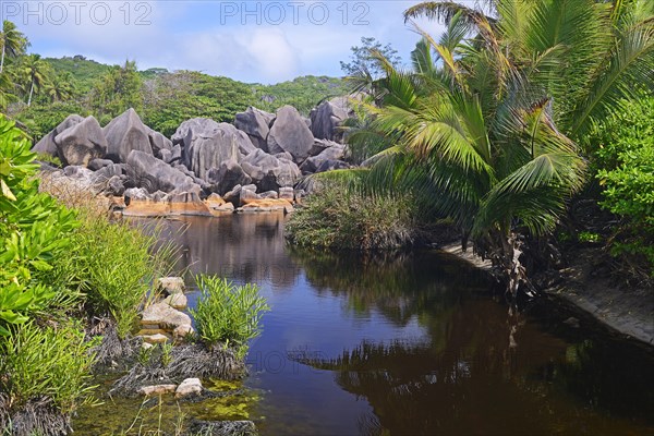 Lagoon with brackish water on the beach Grand Anse