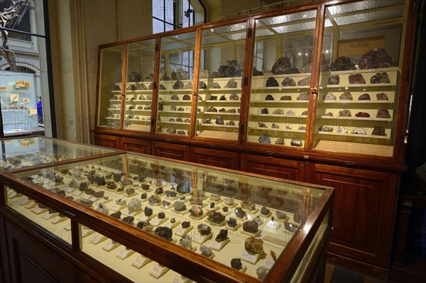 Various minerals in glass cabinets