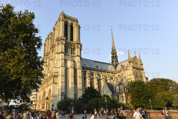 Notre Dame de Paris Cathedral