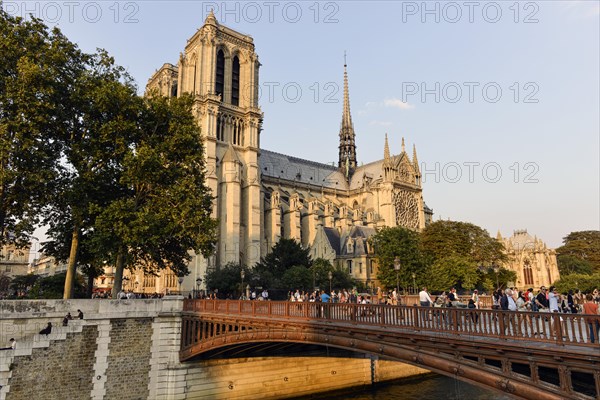 Notre Dame de Paris Cathedral