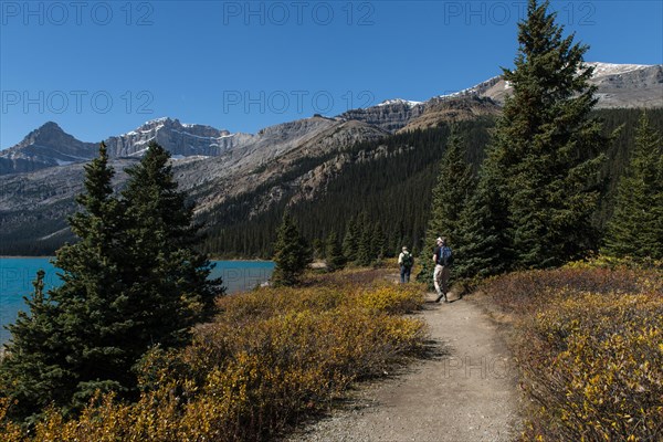 Trail on glacial lake Bow Lake