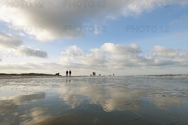 Walkers on the beach of the North Sea island Langeoog