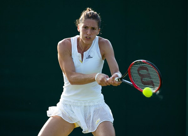 Andrea Petkovic