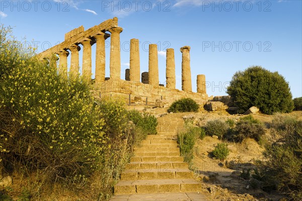 Temple of Juno or Juno Lacinia temple