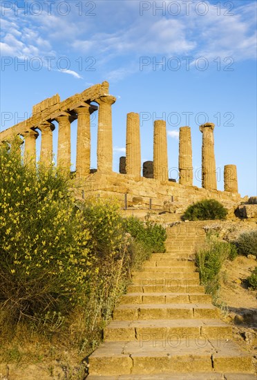 Temple of Juno or Juno Lacinia temple