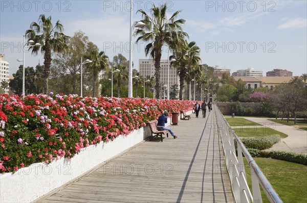 Puente de las flores