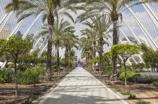 The City of Arts and Sciences