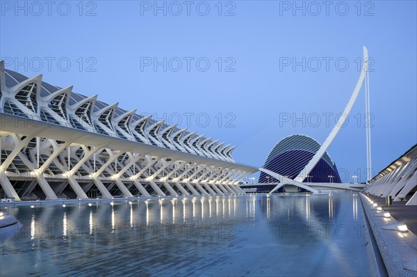 The City of Arts and Sciences with the Agora and Science Museum Prince Philip