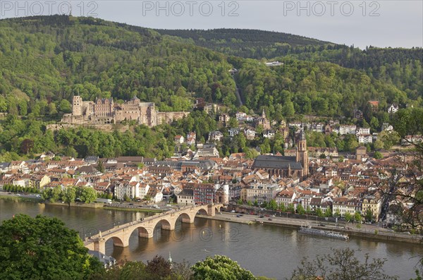 View over the city from the Philosophenweg