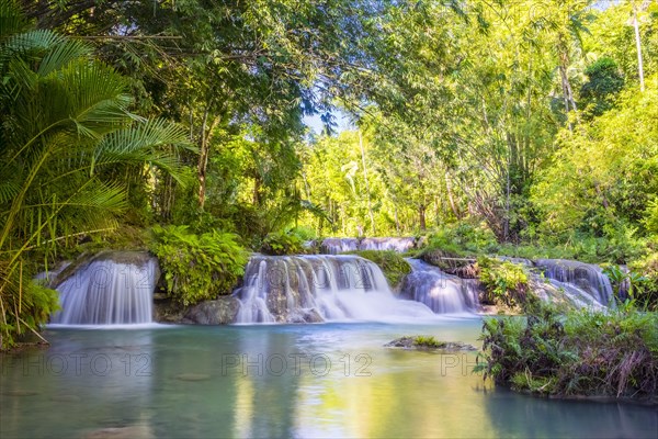 Cambugahay Falls surrounded by jungle foliage