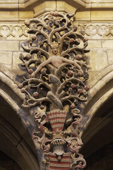 Tree of the knowledge of good and evil with snake 16th century