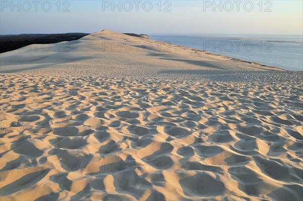 Dune of Pilat