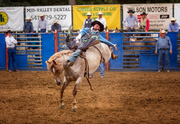 Bareback bronc competition