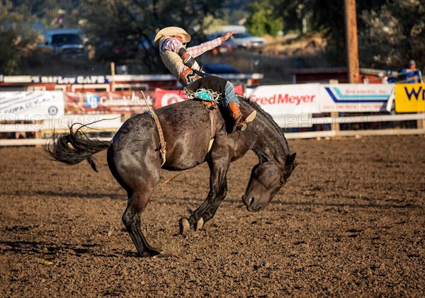 Bareback bronc competition