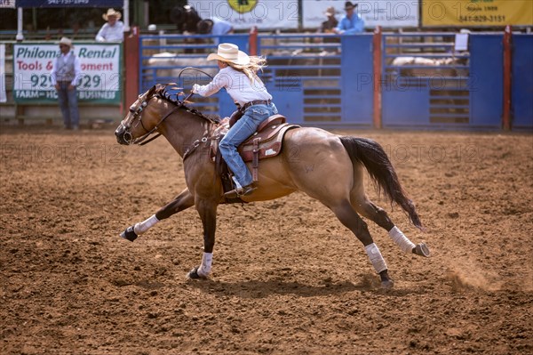Cowgirl in barrel racing
