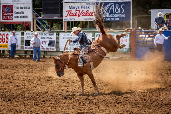 Saddle bronc riding