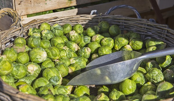 Brussels sprouts