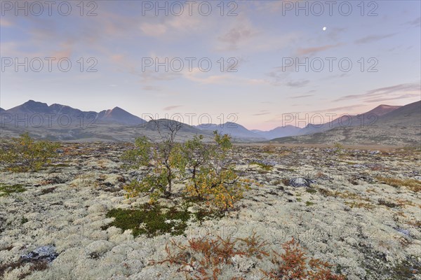 Autumn scenery in the fell