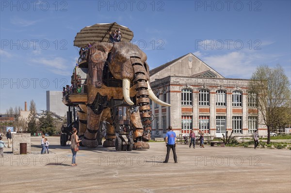 The Great Elephant of Nantes