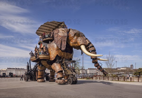 The Great Elephant of Nantes