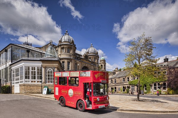 Sightseeing bus