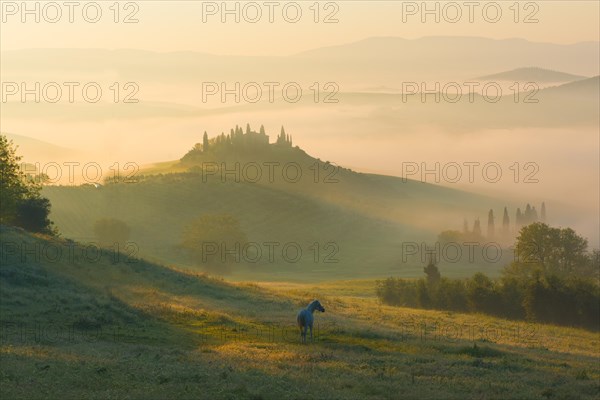 Podere Belvedere farmhouse