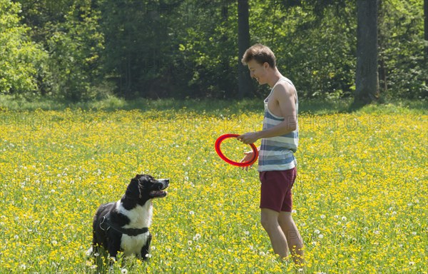 Young man playing frisbee with dog in meadow