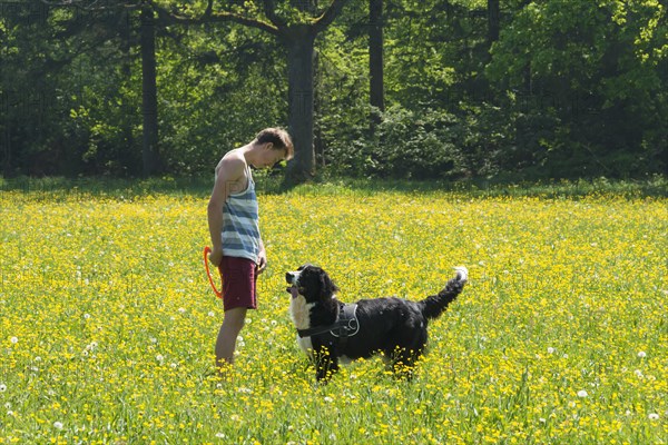 Young man playing frisbee with dog in meadow