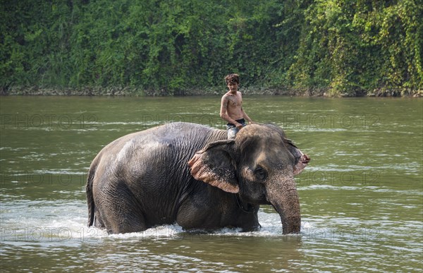 Mahout