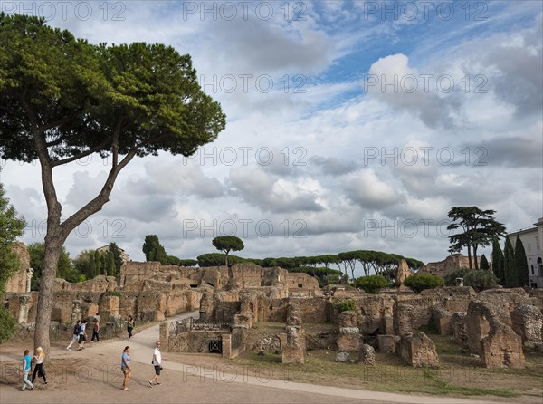 Remains of the Domus Augustana