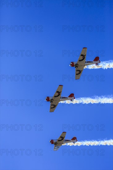 Aerobatic Team Flying Lions