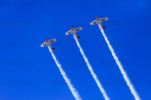 Aerobatic Team Flying Lions