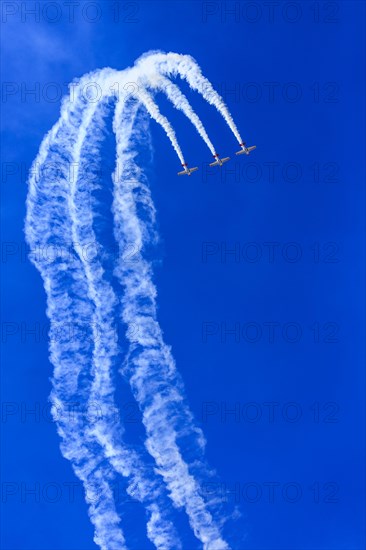 Aerobatic Team Flying Lions