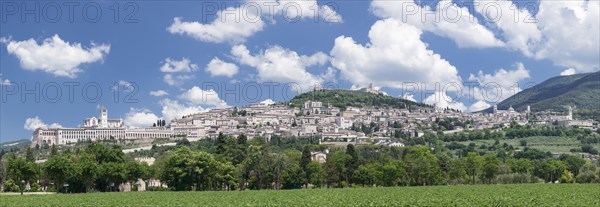 Assisi with Basilica of San Francesco and the Rocca Maggiore