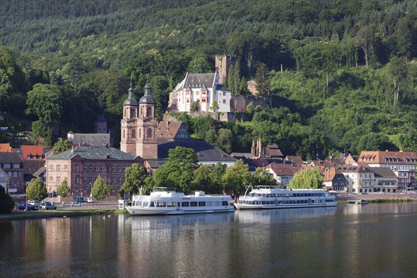 Mildenburg and Parish Church of St James