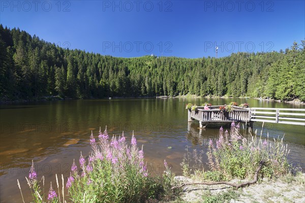 Mummelsee lake