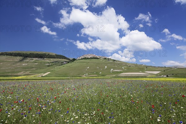 Castelluccio di Norcia