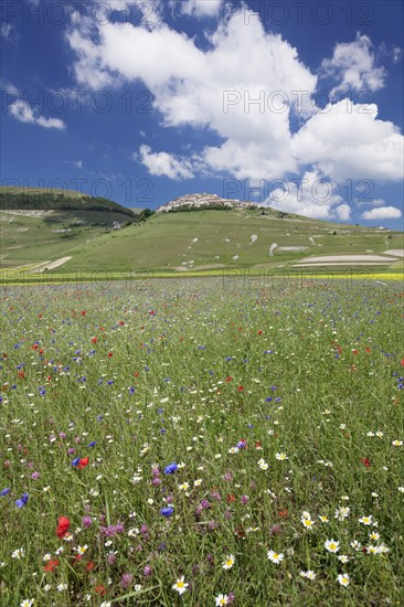 Castelluccio di Norcia