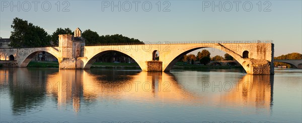 Bridge St. Benezet over the Rhone at sunrise